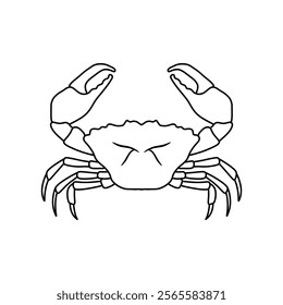 black and white crab vector illustration. seafood and fish. Stone crab flat, sea crab silhouette vector graphics.