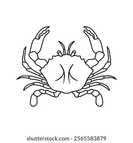 black and white crab vector illustration. seafood and fish. Stone crab flat, sea crab silhouette vector graphics.