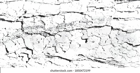 Black and white cracked tree bark textured surface with rough scratchy texture.