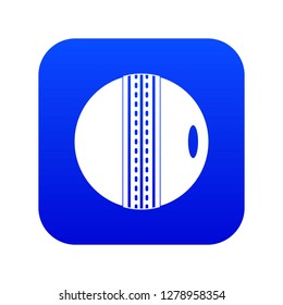 Black and white cricket ball icon digital blue for any design isolated on white vector illustration