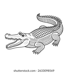 Black and white crocodile animal 