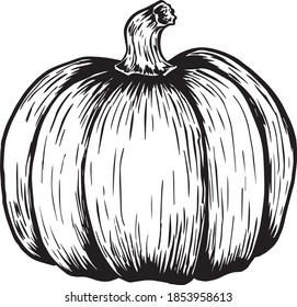 Black and white crosshatch vector illustration of a pumpkin. No background.