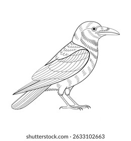Black and white crow colouring page 