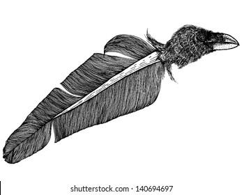 Black and white crow raven feather print t-shirt engraving illustration. Funny vector print.