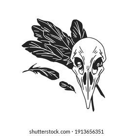 Black and white crow skull with feathers of bird. Raven skeleton for witchcraft and wizardry. Hand drawn vector illustration isolated on white background