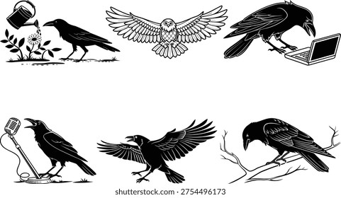 Black and white of crows and an owl in various scenes bird animals