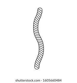 Black and white cut line or a piece of marine rope, cord, twine or cable. Isolated vector illustration of rope and cord.