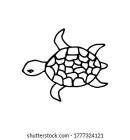 Black and white cute cartoon turtle. Drawn by hand in doodl style. Coloring book for the children. Vector illustration