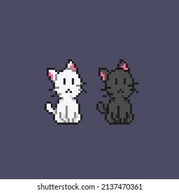 black and white cute cat in pixel style