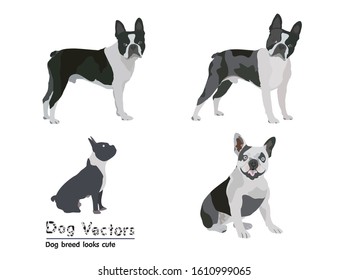 Black and white cute dog The outside may look cruel.