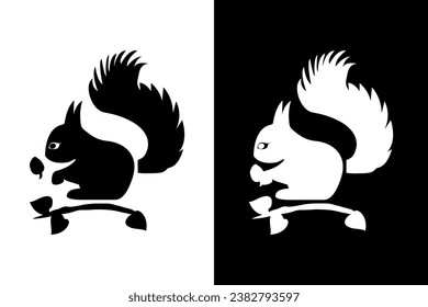 Black and white cute squirrels with acorns on a branch on a black and white background	