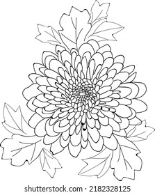 black  white dahlia flower color page for chidden