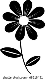 black and white daisy