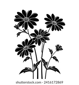 Black and White Daisy Floral Vector Illustration