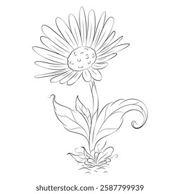 Black and white daisy flower with branches and leaves. Hand drawn line leaves, branches and blooming.
