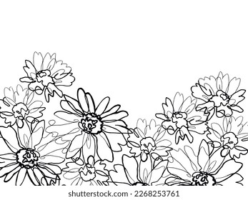 Black and white daisy flowers illustration. Pen drawing. Hand drawn chamomile. Isolated daisy flowers on a transparent background. Freehand flowers illustration. Card design. Floral background.