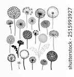 Black and white dandelion designs with intricate details, showcasing delicate patterns and varying stem lengths against a plain backdrop.