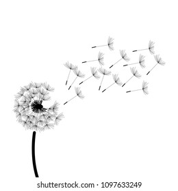 black and white dandelion illustration