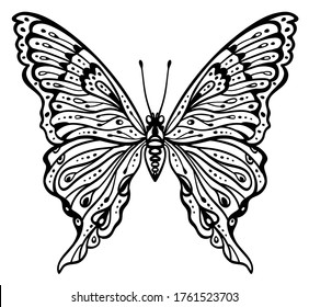 Black and white decorative butterfly, creative concept, linear drawing, silhouette, isolated vector illustration on white background. Image with an insect for stencil, tattoo, stamp and other designs.