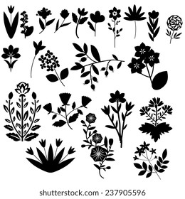 Black and white decorative flowers collection