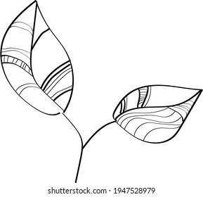 black and white decorative leaves