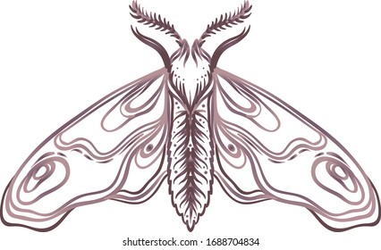 Black and white decorative vector illustration of moth isolated on white. Tattoo design. Coloring book for adults. Nature, spirituality, occultism, alchemy, magic concept.
