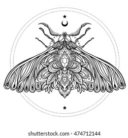 Black and white decorative vector illustration of moth isolated on white over sacred geometry lines. Tattoo design. Coloring book for adults. Nature, spirituality, occultism, alchemy, magic concept.