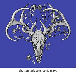 black   white deer skull and horns in graphic style decorated and flowers   leaves