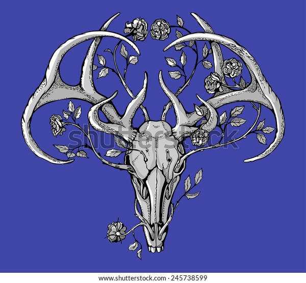 Black White Deer Skull Horns Graphic Stock Vector Royalty Free