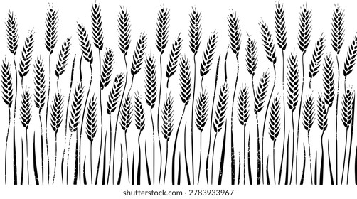 A black and white a dense field of wheat stalks with a textured, grunge effect. wheat, grain, field. black and white of wheat...