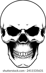 black and white detailed human skull