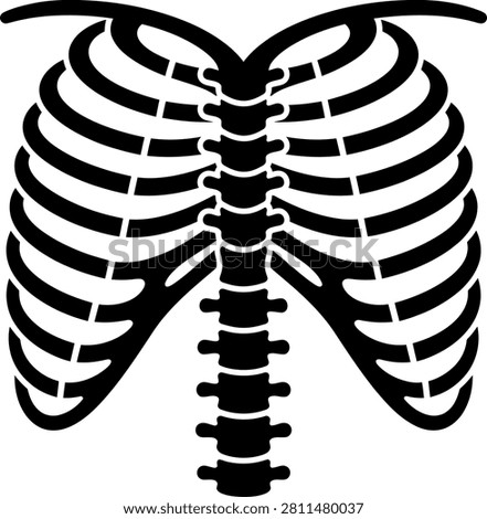 Black and white detailed illustration of human ribcage skeleton anatomy medical reference