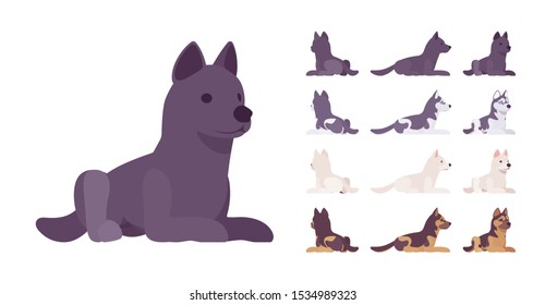 Black, White dog, Husky, Shepherd lying set. Pet, family companion, home guarding, farm or police security breed. Vector flat style cartoon illustration isolated, white background, different views