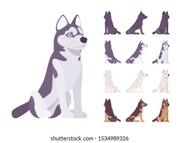 Black, White dog, Husky, Shepherd sitting set. Pet, family companion, home guarding, farm or police security breed. Vector flat style cartoon illustration isolated, white background, different views