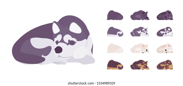 Black, White dog, Husky, Shepherd sleeping set. Pet, family companion, home guarding, farm or police security breed. Vector flat style cartoon illustration isolated, white background, different views