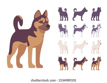 Black, White dog, Husky, Shepherd standing set. Pet, family companion, home guarding, farm or police security breed. Vector flat style cartoon illustration isolated, white background, different views