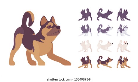 Black, White dog, Husky, Shepherd playing set. Pet, family companion, home guarding, farm or police security breed. Vector flat style cartoon illustration isolated, white background, different views