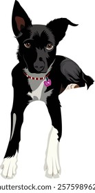 black and white dog illustration