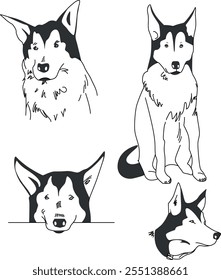 Black and white dog line art with different poses. German Shepherd pose for picture. one color abstract art doggy breed drawing. beautiful animal handmade graphic