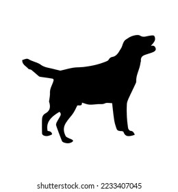 black and white dog silhouette  