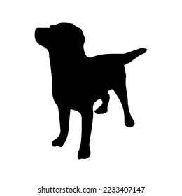black and white dog silhouette