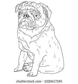 Black and white dog sketch in vector