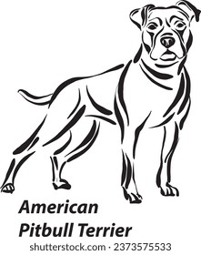 black and white dogs american pitbull terrier breed design line art most popular brush stroke freehand draw vector illustration