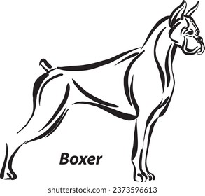 black and white dogs Boxer breed design line art most popular brush stroke freehand draw vector illustration