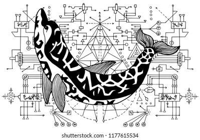 Black and white dolphin against sacred geometry background. Esoteric, occult and mysterious concept with sacred geometry elements, graphic vector illustration 