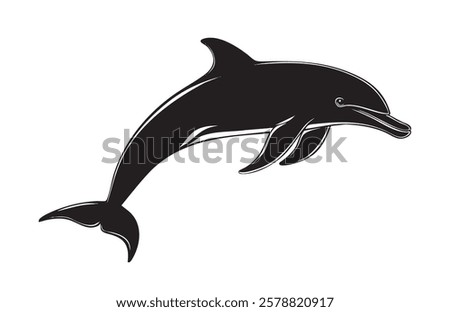 A black and white dolphin is flying through the air