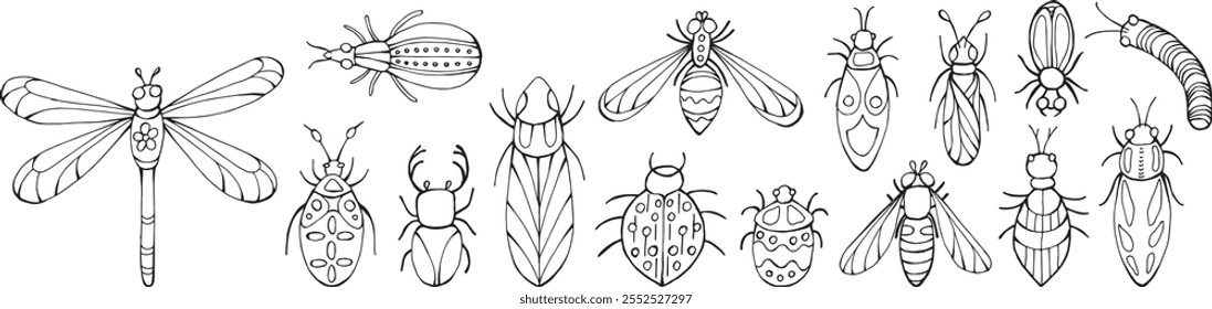 Black and white doodle illustration of a detailed beetle with ornament. Line art drawing isolated on white background. Coloring book page.