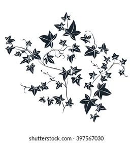 Black And White Doodle Ivy Leaves. Vector Illustration 