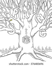 Black and white doodle typography poster with big tree. Cartoon cute card on seasonal theme with lettering text - Spring is coming. Hand drawn vector illustration isolated on white background.