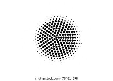 Black and white dotted gradient. Contrast half tone vector background. Spotted dotted halftone. Monochrome retro texture. Black ink dot on transparent backdrop. Pop art dotwork. Abstract backdrop